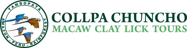 collpachuncho-logo