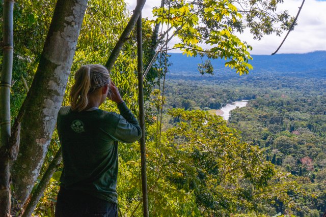 birdwatching in the peruvian jungle